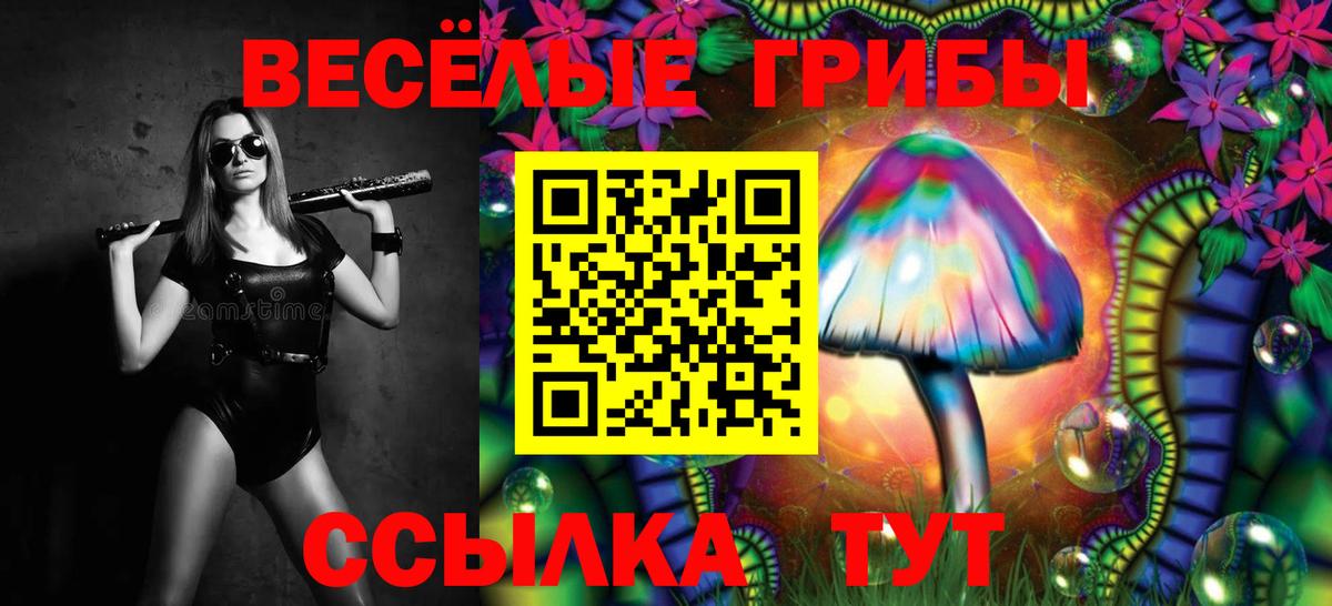 Псилоцибиновые грибы мухоморы Чита