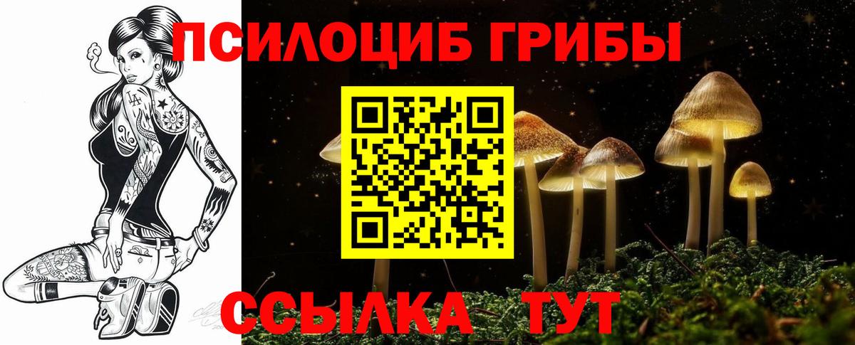Галлюциногенные грибы прущие грибы  Галлюциногенные грибы Cubensis  Вход с VPN  Чита 